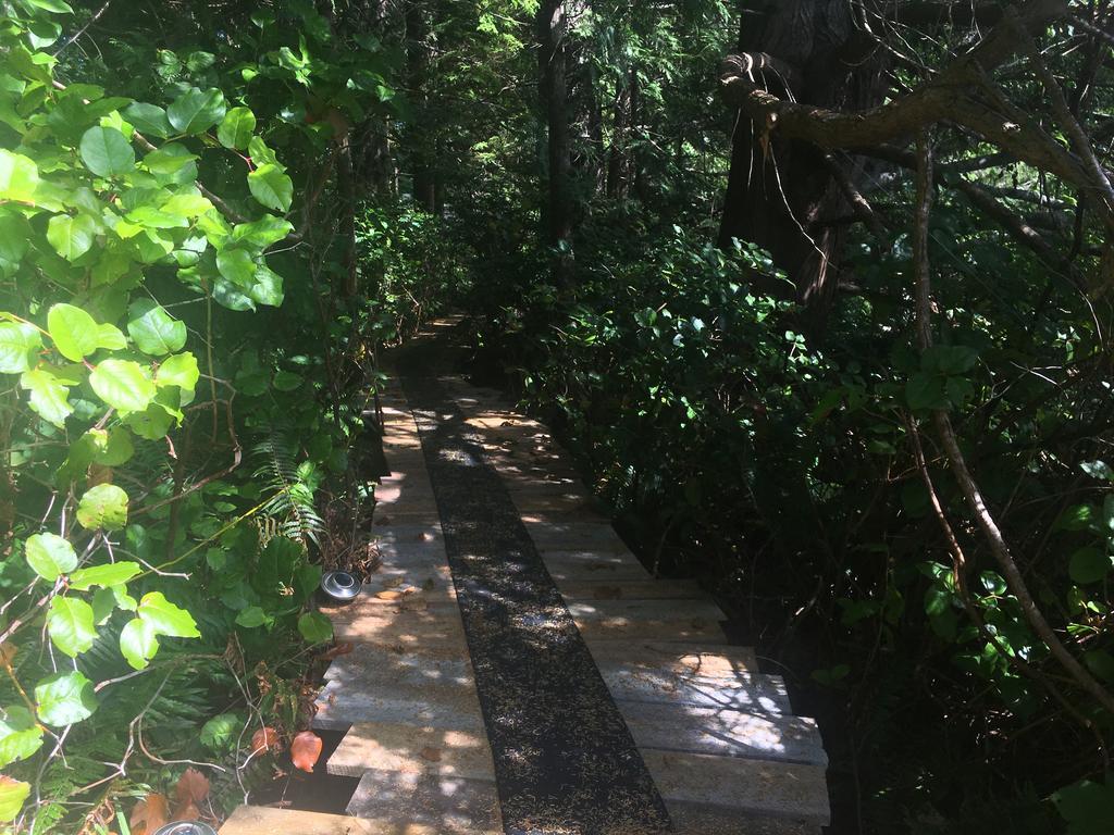 Tofino Stormbay Guest House מראה חיצוני תמונה